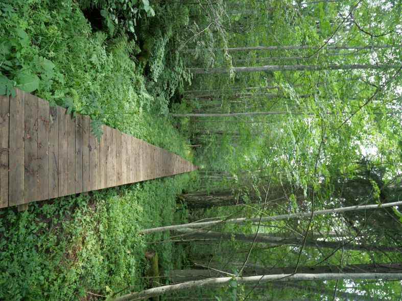 Forest exkursion of EFOL 2025